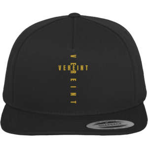 front-premium-snapback-black-black-309-422e-2000x.png